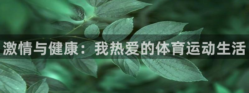 激情与健康：我热爱的体育运动生活