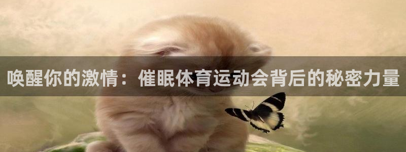唤醒你的激情：催眠体育运动会背后的秘密力量