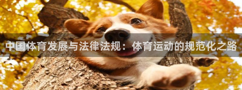 中国体育发展与法律法规：体育运动的规范化之路
