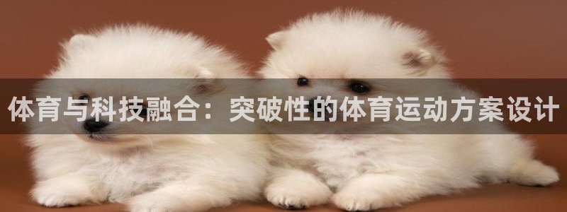 体育与科技融合：突破性的体育运动方案设计