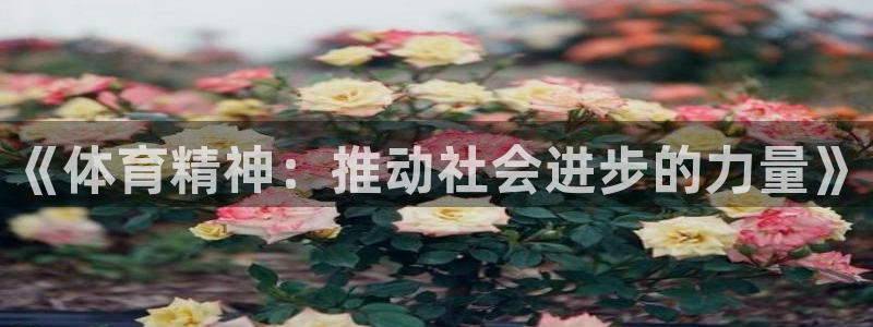 《体育精神：推动社会进步的力量》
